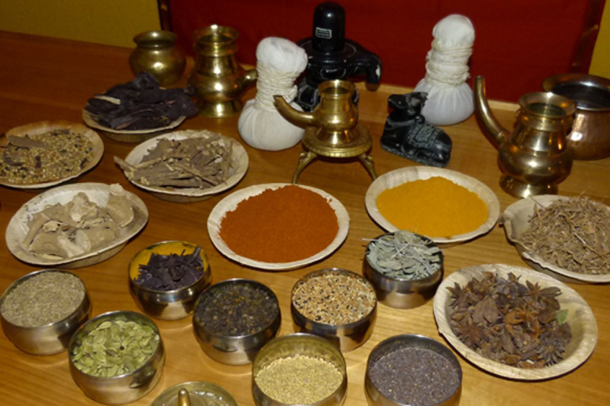 Palani-Ayurveda-029f66b6 Kräuterdusche - Kashaya